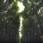 کلیپ دفتر حق است دل