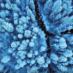 کلیپ برنامه ابدی