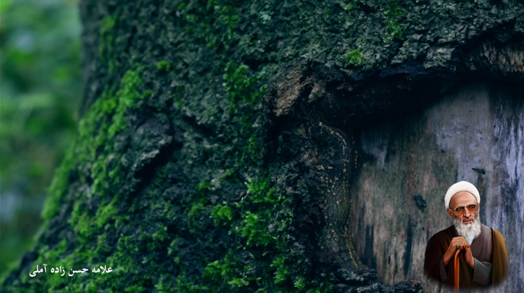 کلیپ حضور و مراقبت